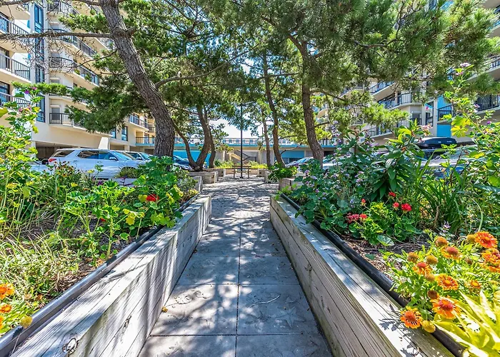 Beautiful 3 Bedroom With Side Ocean Views Ocean City